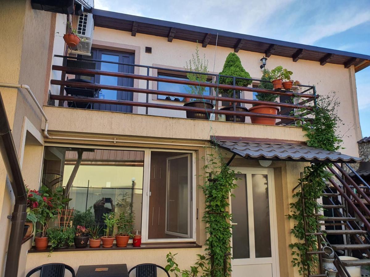 Rasnov Retreat酒店 外观 照片