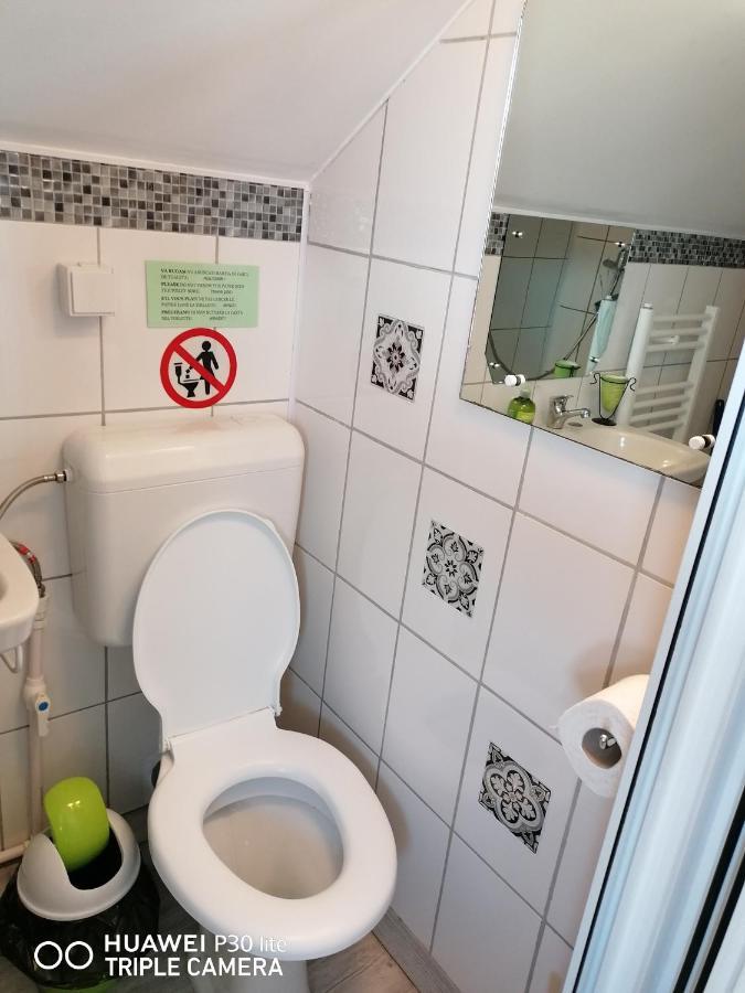 Rasnov Retreat酒店 外观 照片
