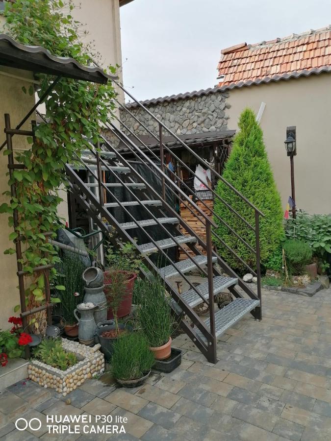 Rasnov Retreat酒店 外观 照片