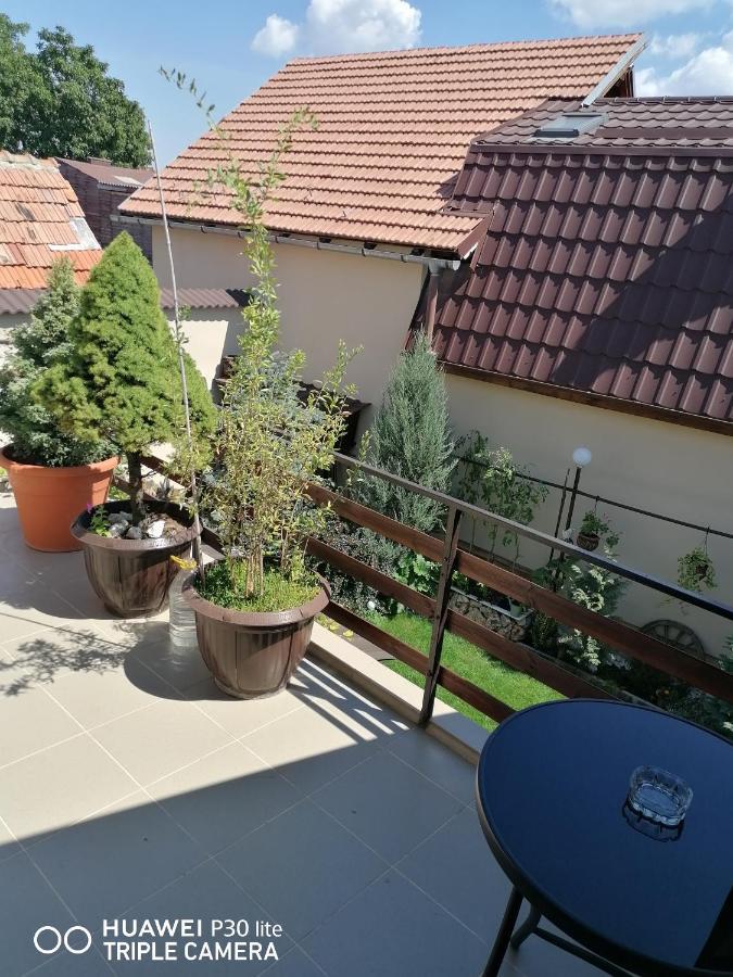 Rasnov Retreat酒店 外观 照片