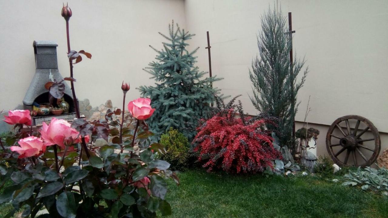 Rasnov Retreat酒店 外观 照片
